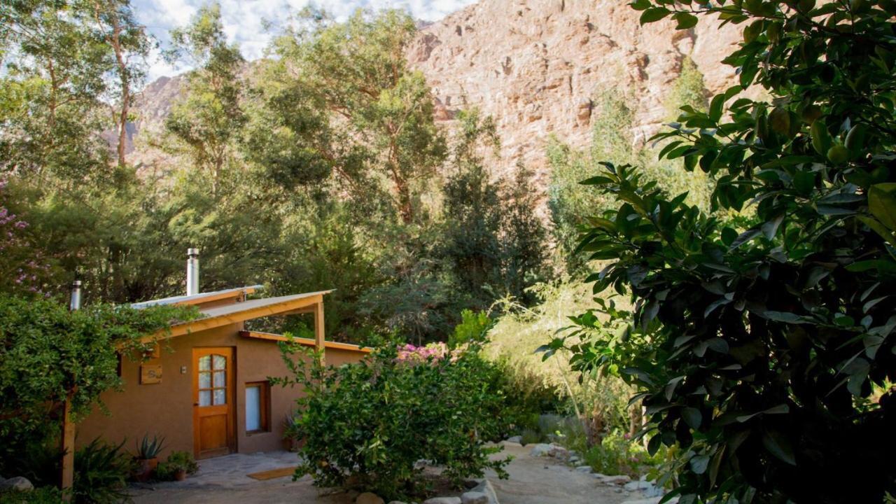 Cabanas El Albaricoque Cochiguaz El Sanjeado Extérieur photo